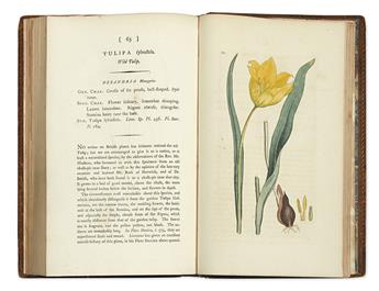 (BOTANICAL.) Sowerby, James; and Smith, James Edward. English Botany; Or, Coloured Figures of British Plants.